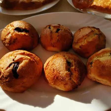 & Bistro Lefterova 招待所 科泰尔